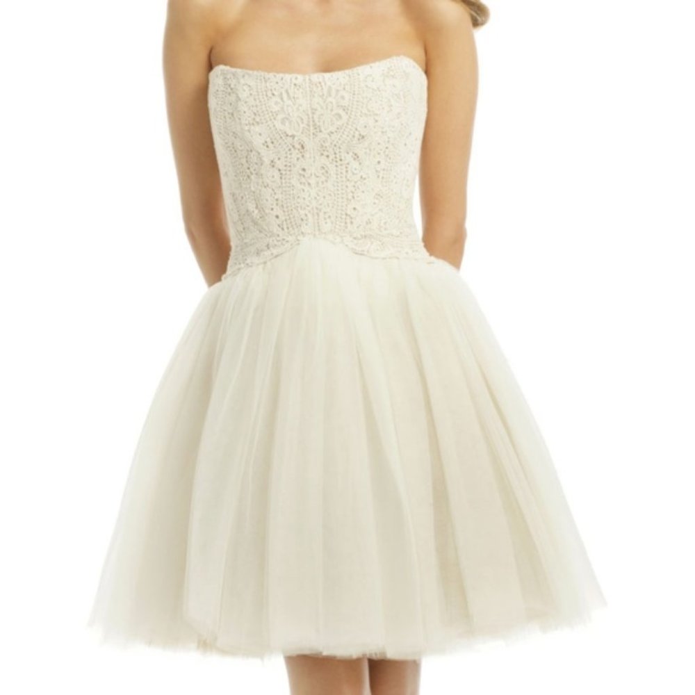 Allison Parris Winter Wonderland Dress